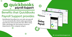QuickBooks Payroll Support: Your Trusted Partner in Payroll Management